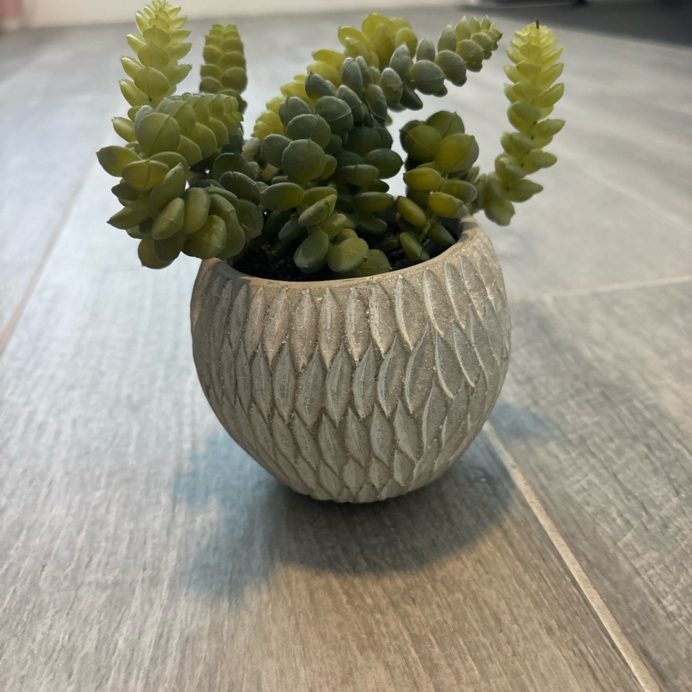 Decorative Gray Planter with Green Succulents